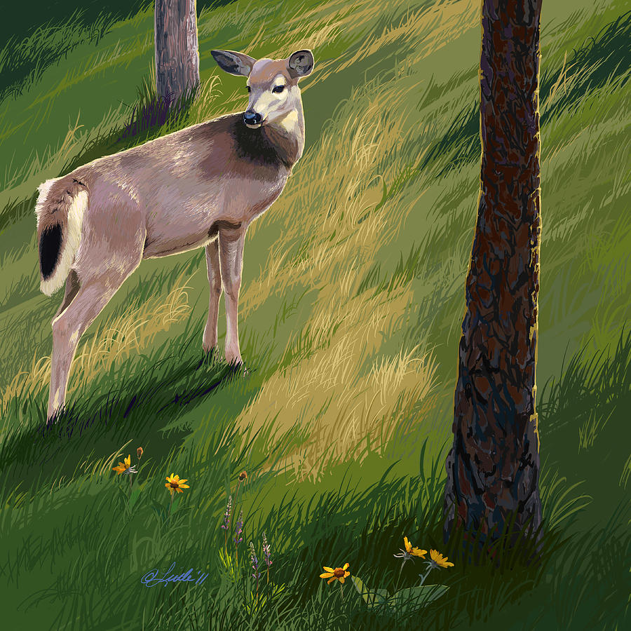 Blacktail Doe in Springtime Painting by Pam Little