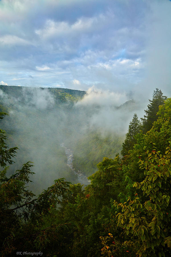 Blackwater Canyon Fog Photograph by Brian Simpson