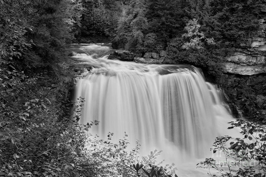 Blackwater Falls D300_12414_bw Photograph by Kevin Funk