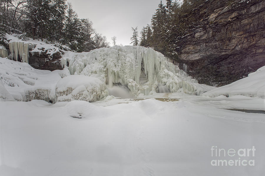 Blackwater Falls frozen white Photograph by Dan Friend