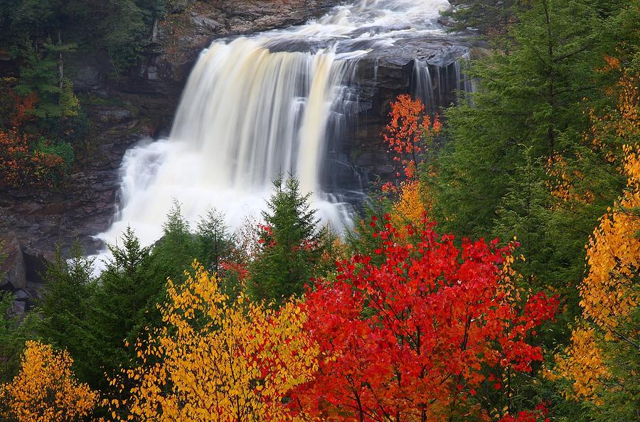 Nature Photograph - Blackwater falls in autumn by Jetson Nguyen