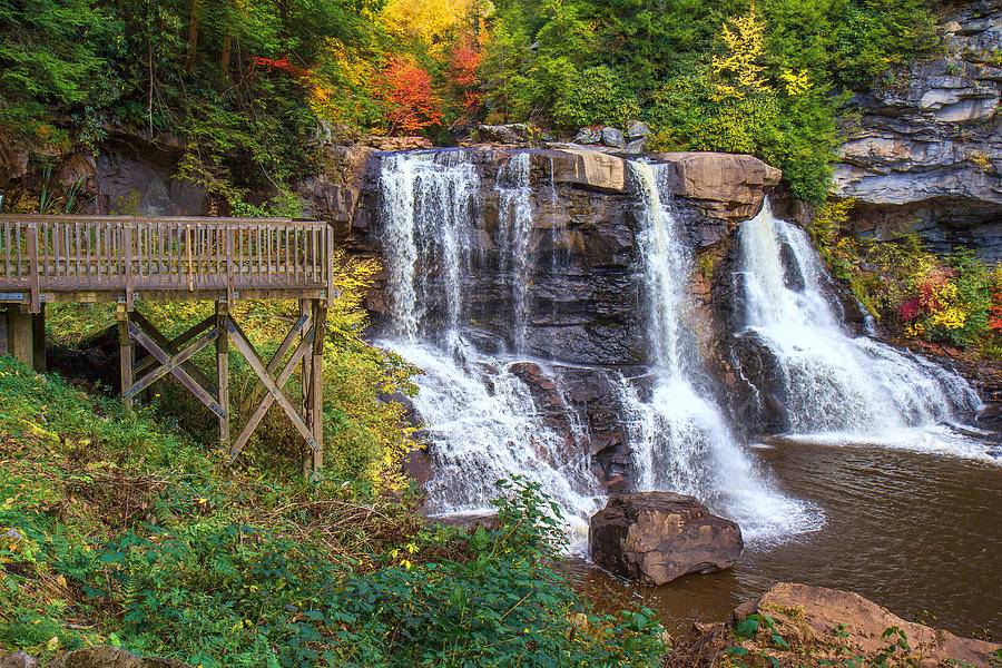 Blackwater Falls State Park Photograph by Mary Almond