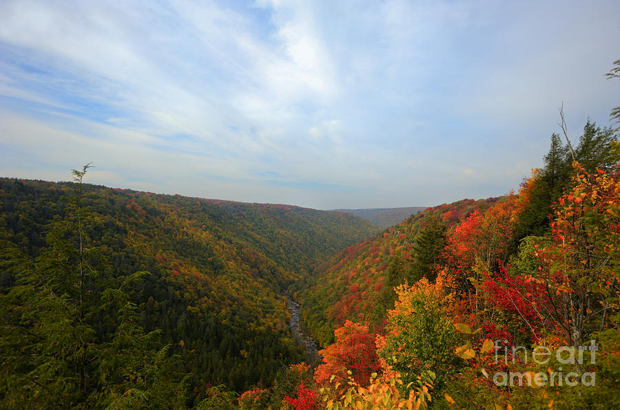 Blackwater gorge in fall Photograph by Dan Friend