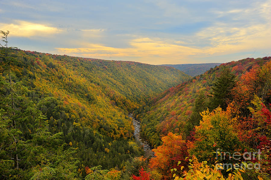 Blackwater Gorge With Fall Leaves Photograph