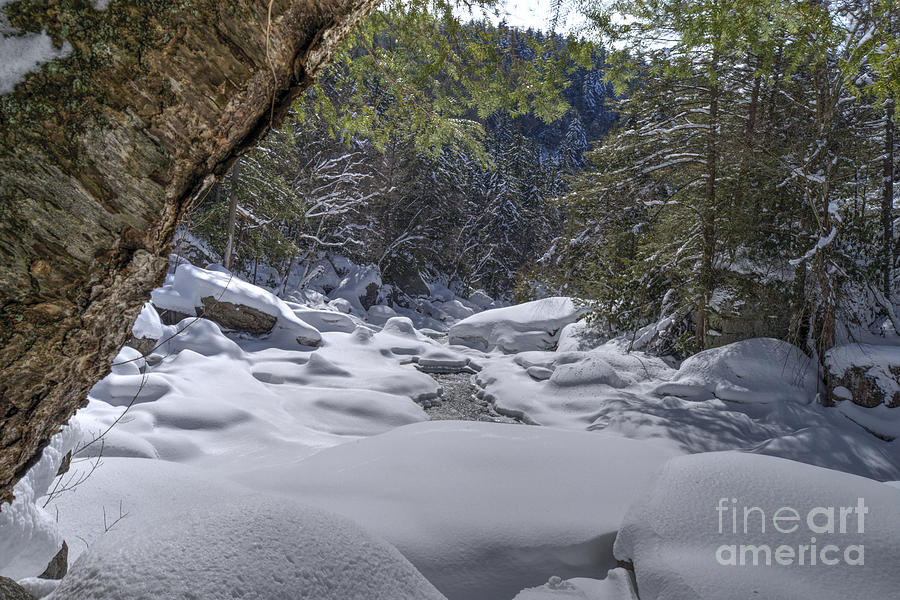 Blackwater River gorge with blanket of snow Photograph by Dan Friend