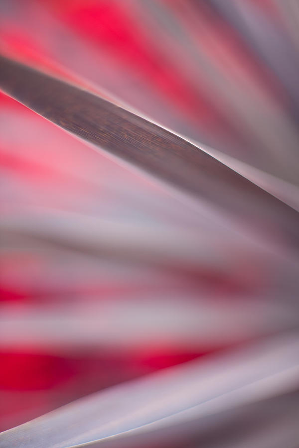 Abstract Photograph - Blade Angles by Mike Reid
