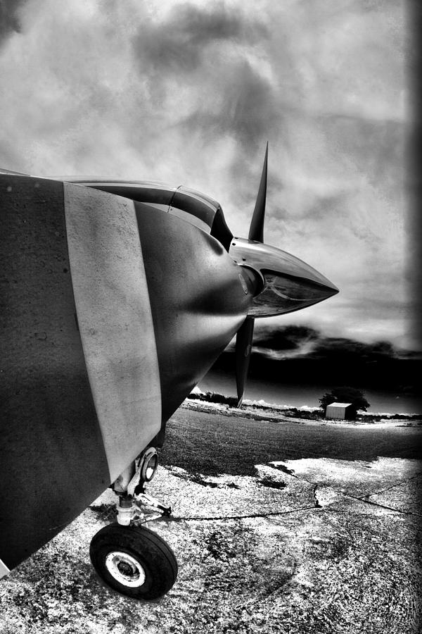 Blade Flyer Photograph by Paul Job