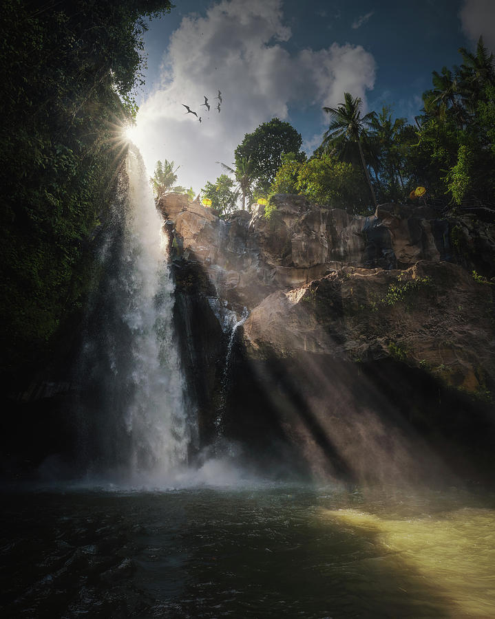 Jungle Photograph - Blangsinga by Juan Pablo De
