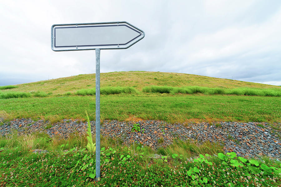 Blank Directional Sign In A Field Photograph by Wladimir Bulgar
