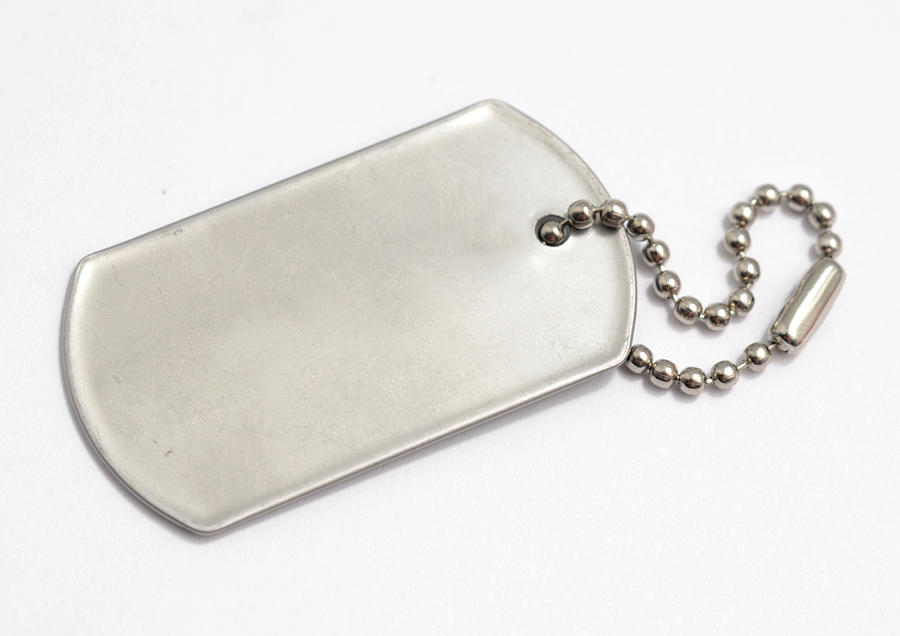 Blank, metal dog tag on white background Photograph by Happyfoto