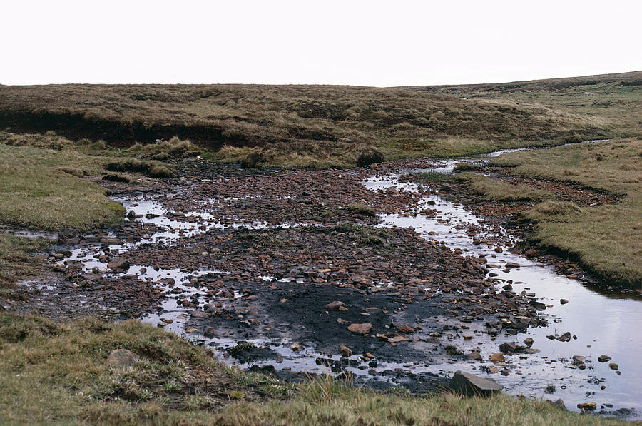 Nature Photograph - Blanket Bog Habitat. by G A Matthews/science Photo Library