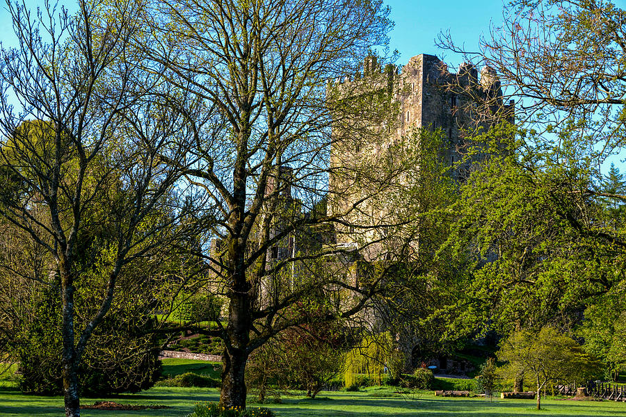 Blarney Castle and Grounds Photograph by Marilyn Burton