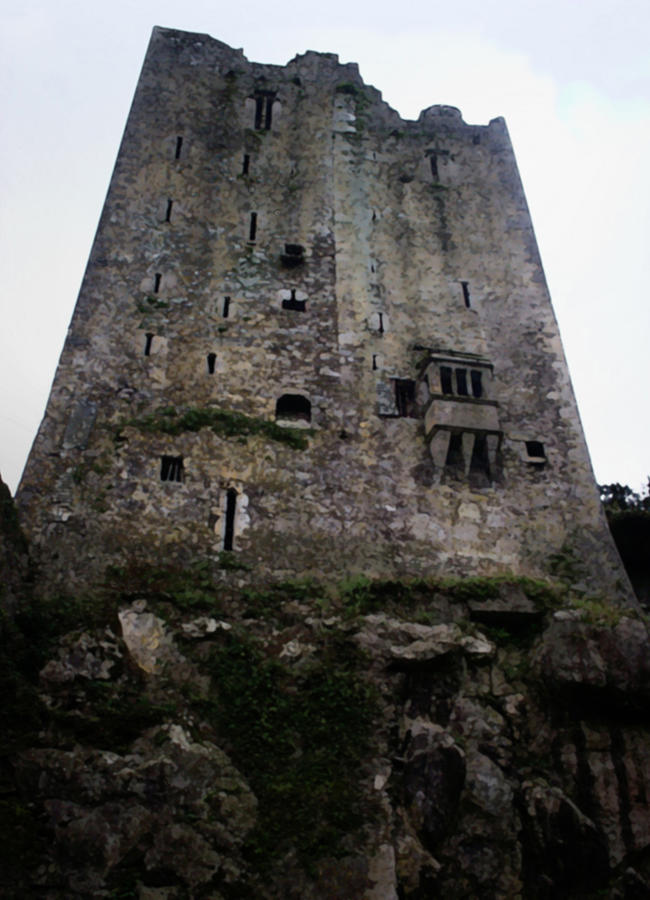 Blarney Castle Exterior Photograph by Richard Andrews - Fine Art America