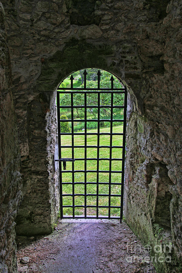 Iron Gate Photograph - Blarney Castle Iron Gate 7768 by Jack Schultz