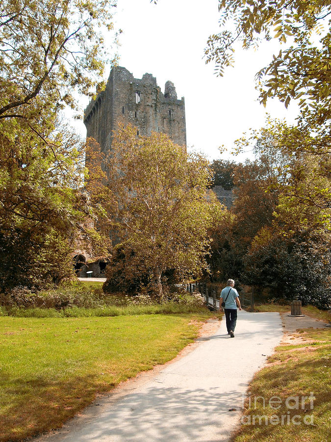 Cork Photograph - Blarney Castle by Joe Cashin