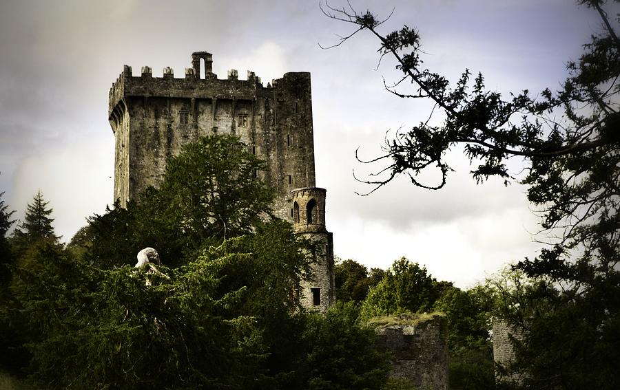 Blarney Castle Photograph by Nadalyn Larsen