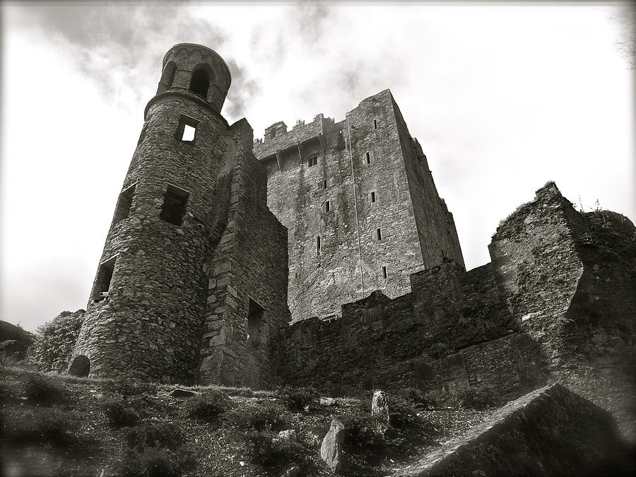 Blarney Photograph by Kim Pippinger
