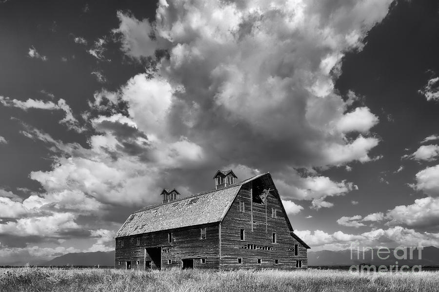Blasdel Barn - Black and White Photograph by Mark Kiver