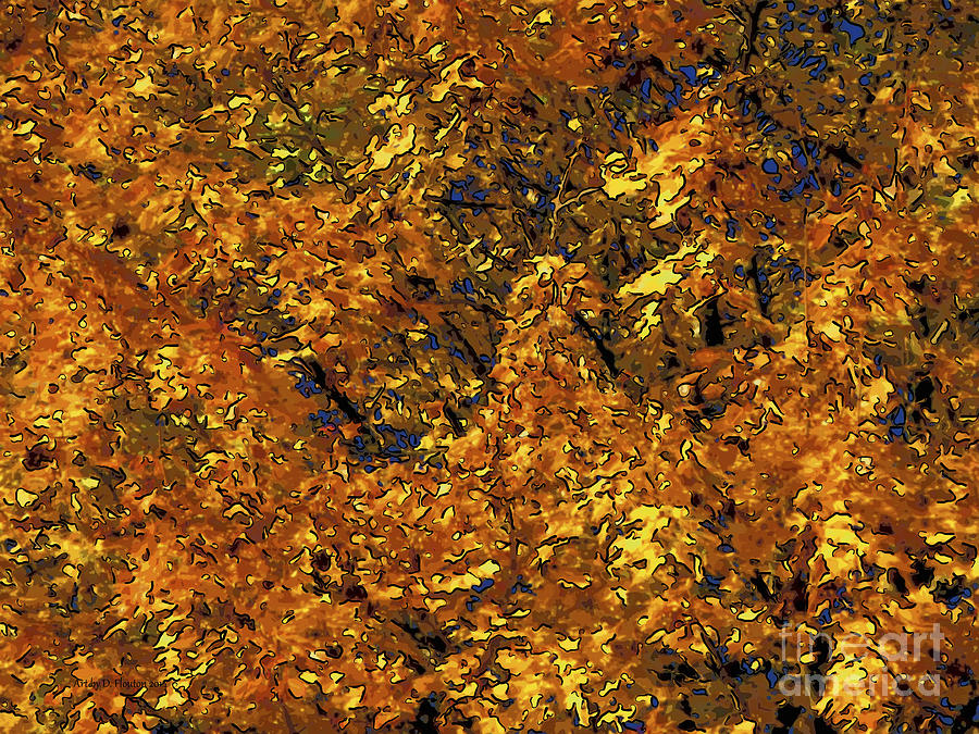 Blast of Autumn Maple Tree Digital Art by Dee Flouton