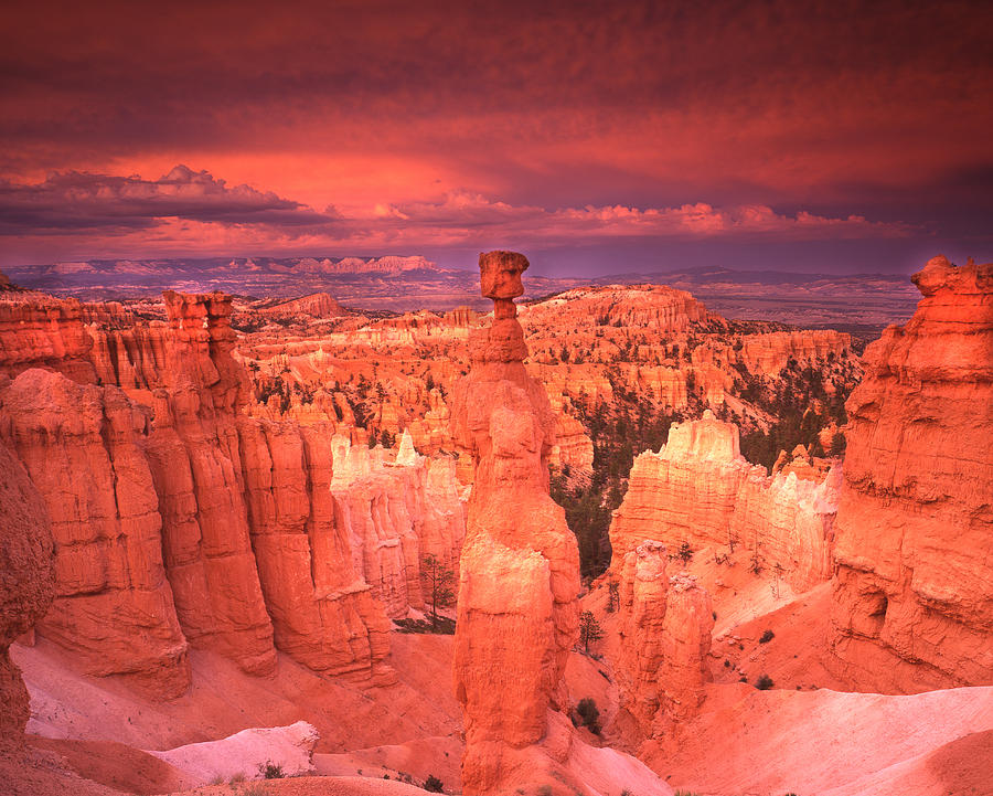 Blazing Bryce Sunset Photograph by Ray Mathis