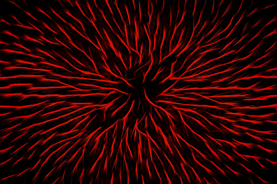 Blazing Red Hot Fire Flower Abstract Photograph