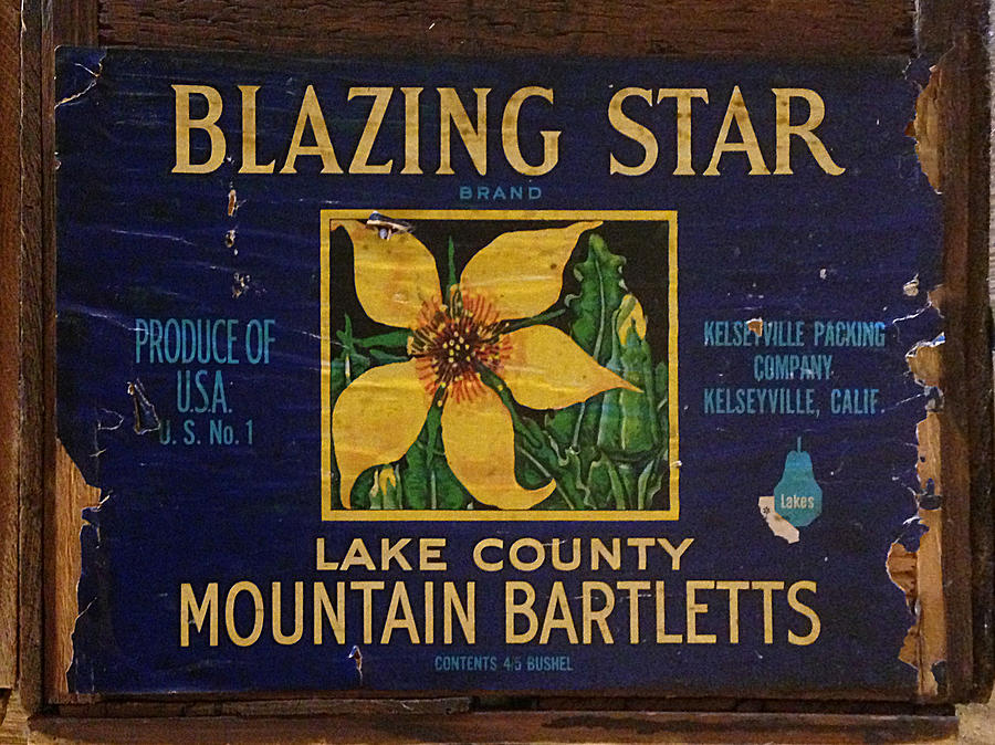 Blazing Star Pears Crate Label Photograph by Richard Reeve