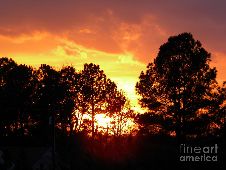 Blazing Sunset Photograph by Matthew Seufer