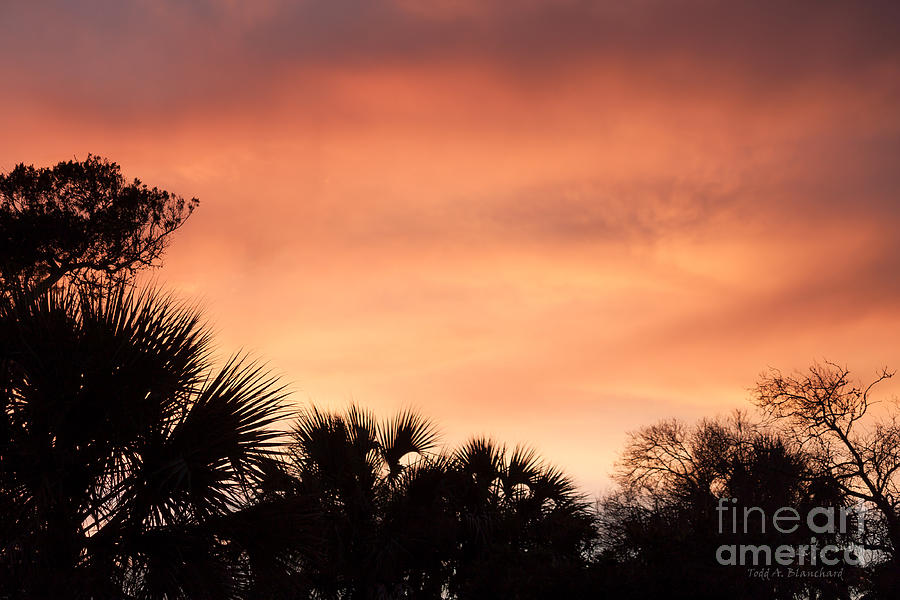 Blazing Sunset Photograph by Todd Blanchard