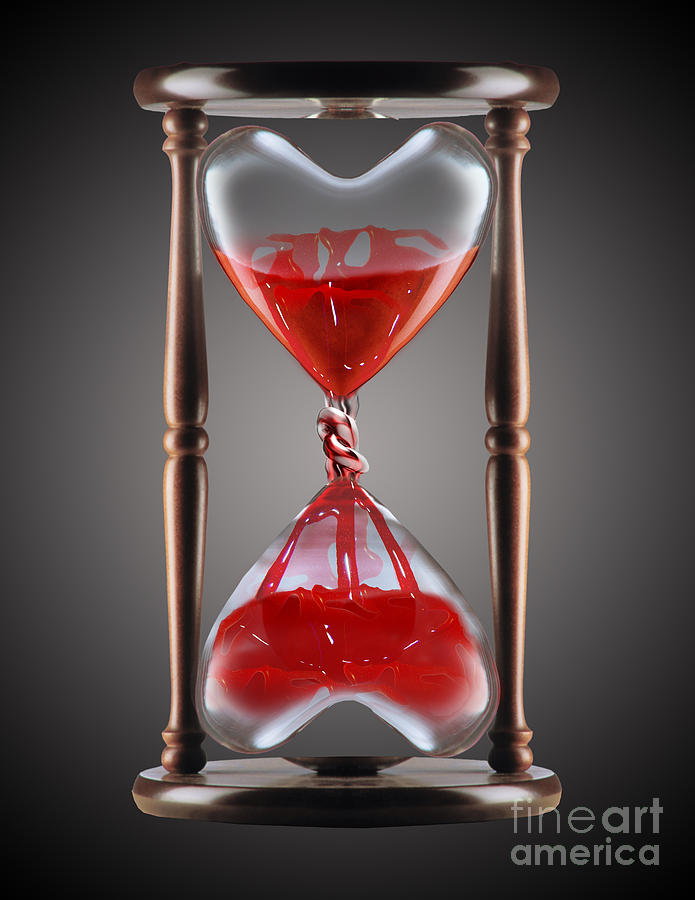 Bleeding Heart Hourglass Photograph by Mike Agliolo