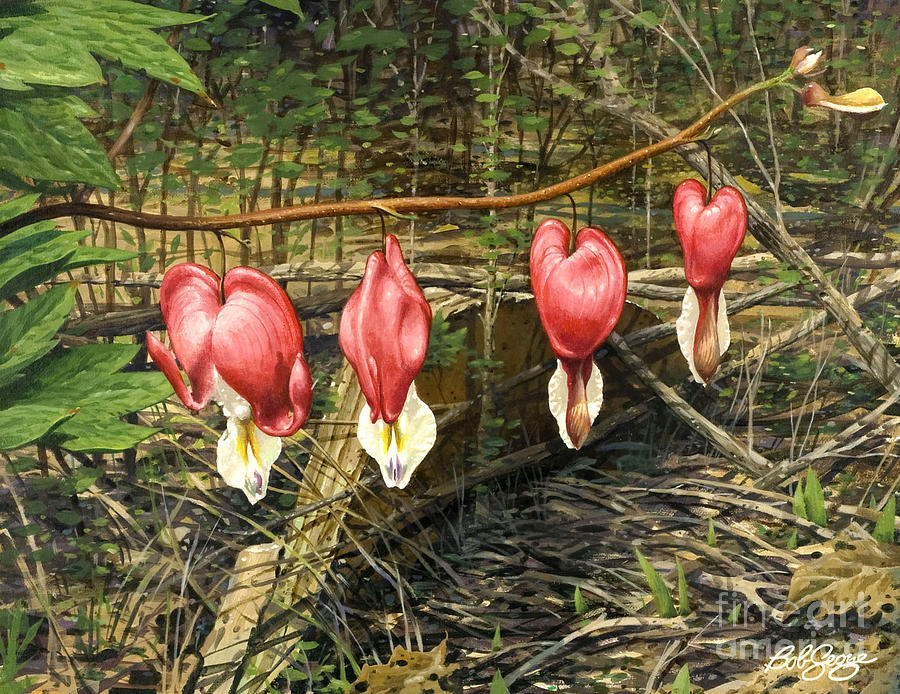 Bleeding Hearts Painting by Bob  George