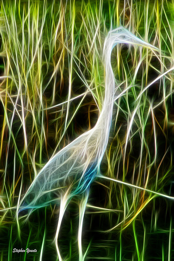 Blending with the Grass Digital Art by Stephen Younts