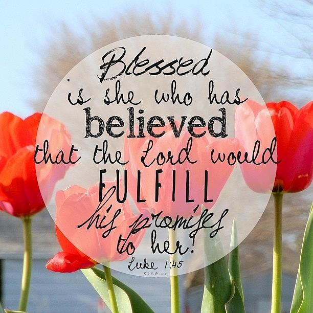 blessed Is She Who Has Believed That Photograph by Traci Beeson