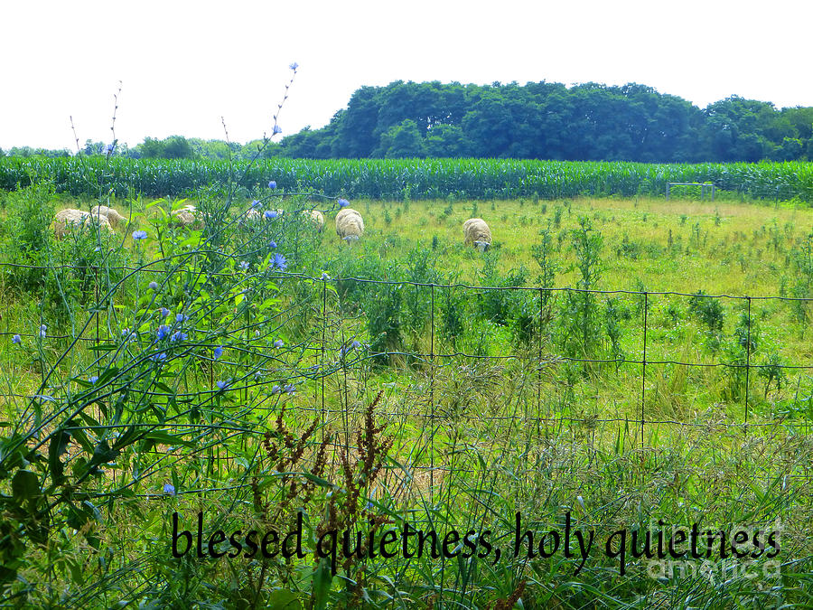 Blessed Quietness Photograph