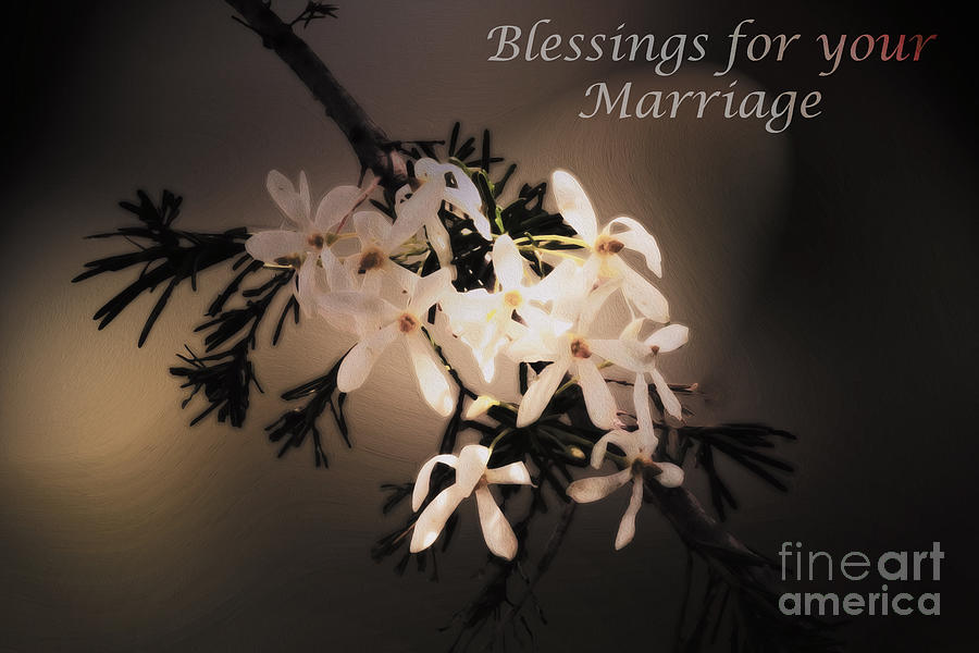 Blessings for your marriage Photograph by Cassandra Buckley