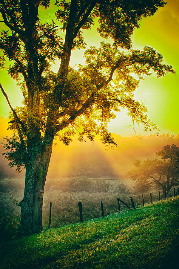Blinding Sunrise in the Blue Ridge Photograph by Dan Carmichael