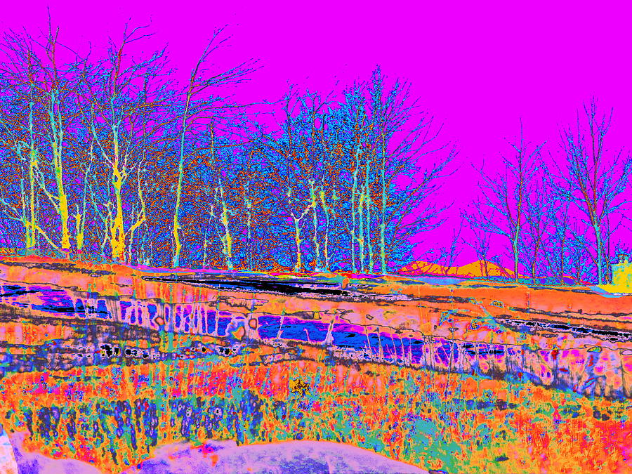 Blinn Hill Treeline Digital Art
