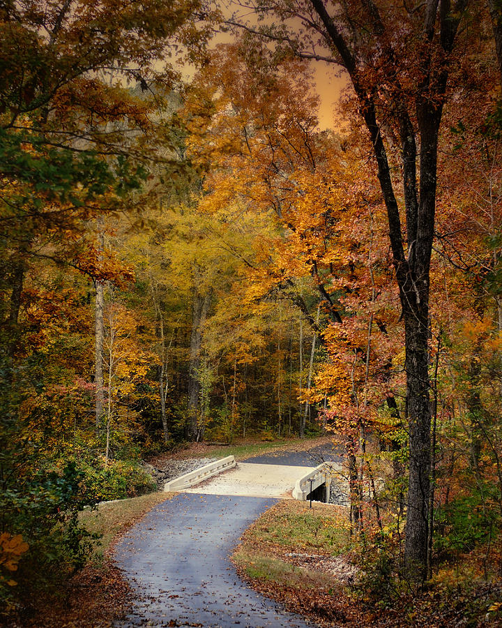 Bliss - Autumn Landscape Photograph by Jai Johnson