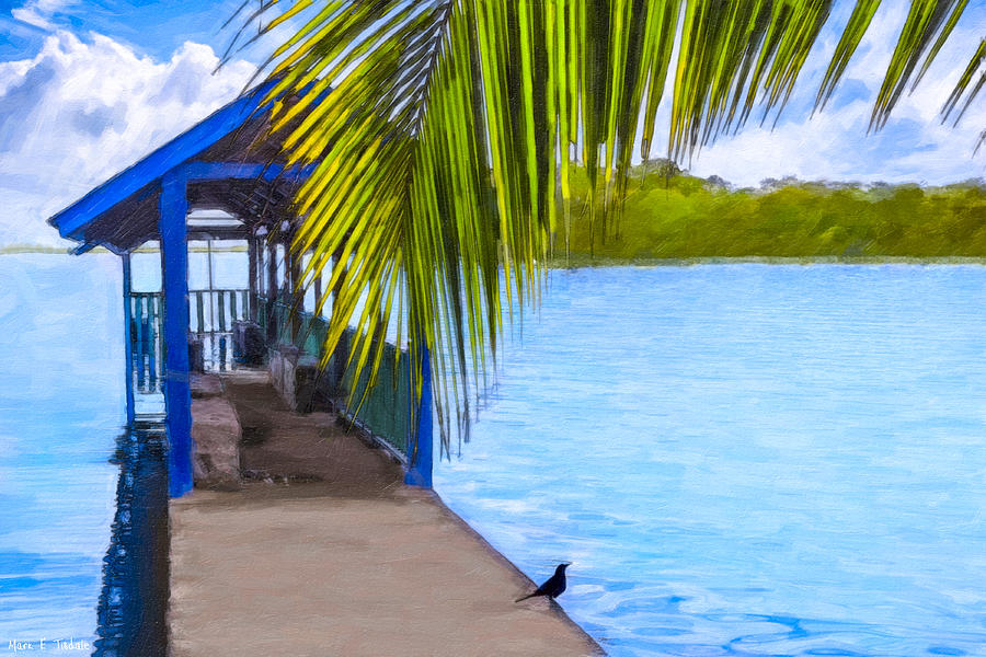 Bliss Found On A Tropical Pier - Nicaragua Photograph by Mark Tisdale