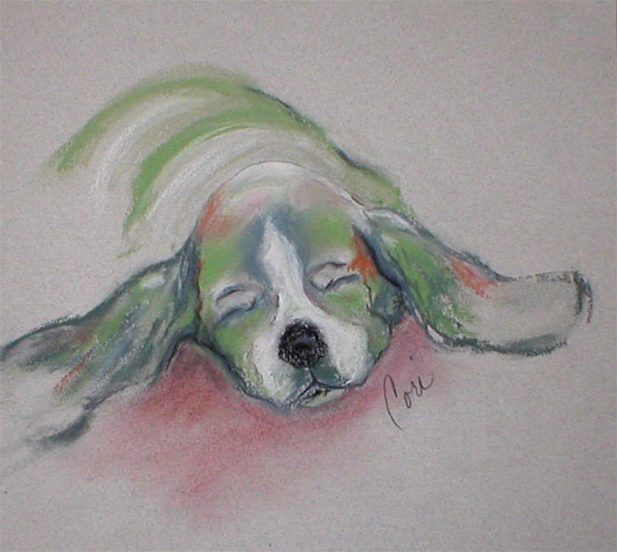 Dog Drawing - Blissful Dreams III by Cori Solomon