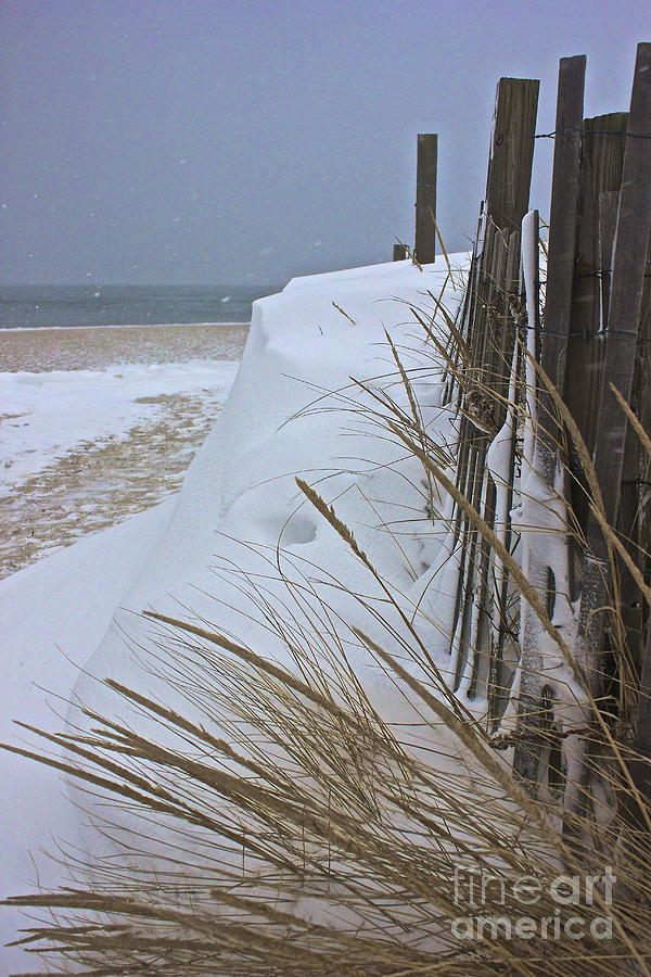 Blizzard Photograph by Amazing Jules