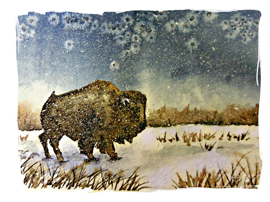 Blizzard Buffalo Painting by Janet Cruickshank