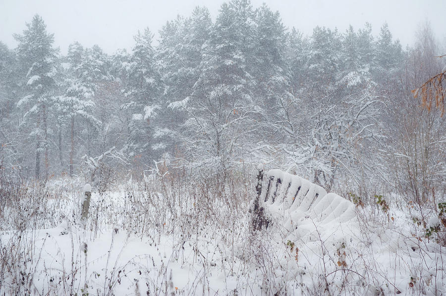 Blizzard in Late Autumn Photograph by Jenny Rainbow