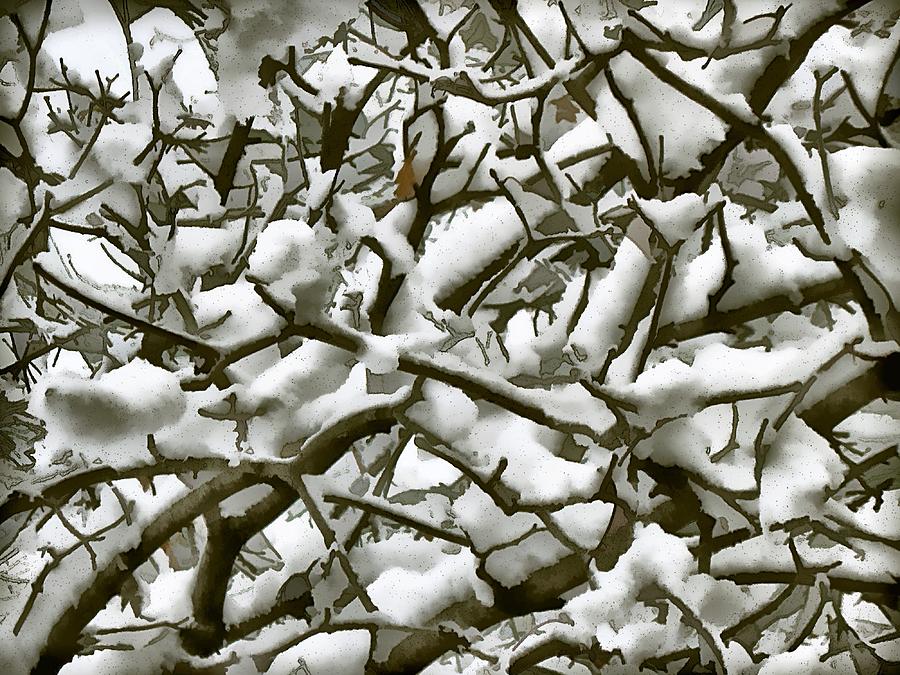 Blizzard Oak Branches Abstract-3 Digital Art by Doug Morgan
