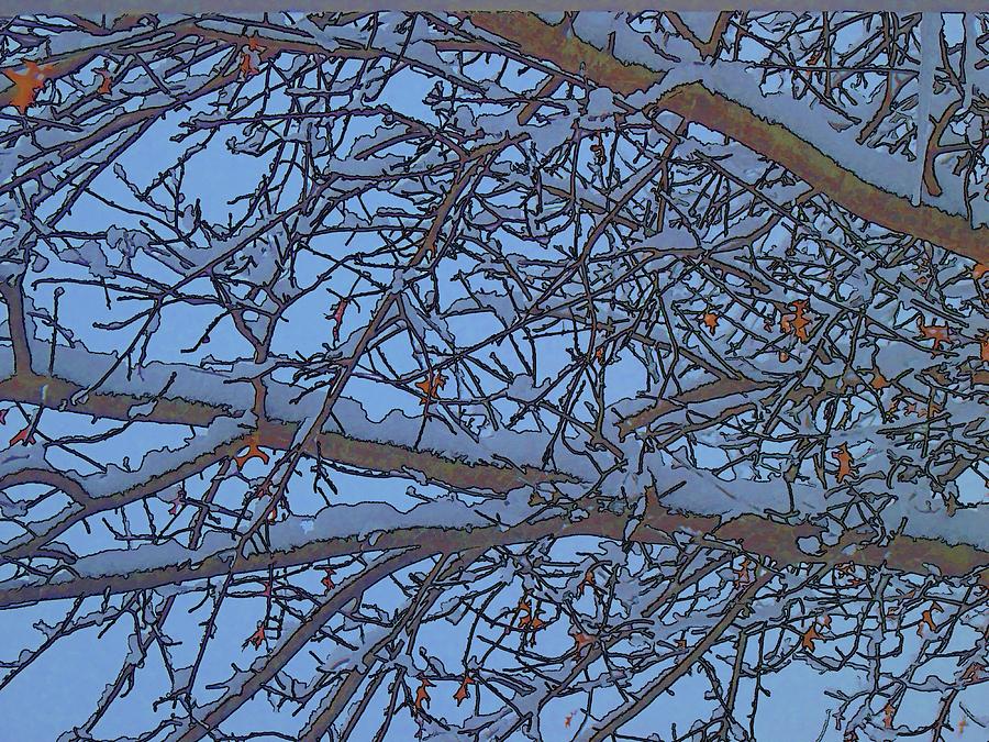 Blizzard Oak Tree Abstract-5 Digital Art by Doug Morgan