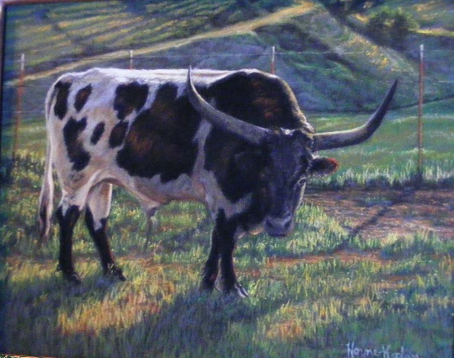 Blk and White Longhorn Steer Pastel by Denise Horne-Kaplan