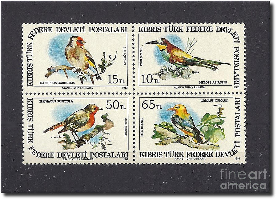 Block of Turkish Federated State of Cyprus Stamps Photograph by Charles Robinson