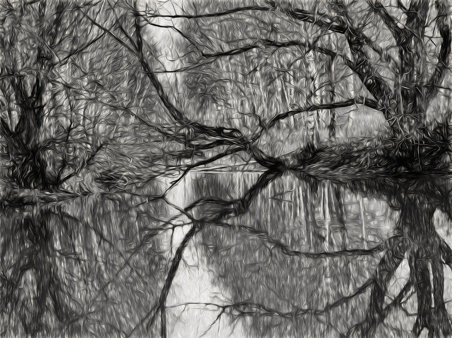 Tree Photograph - Blocked entrance imp BW-2Waterway Blocked By Trees by Leif Sohlman