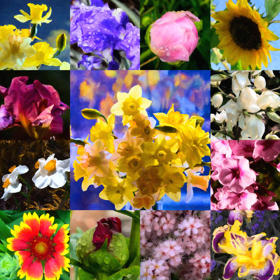 Flower Photograph - Blocks of Blooms by Jo-Anne Gazo-McKim