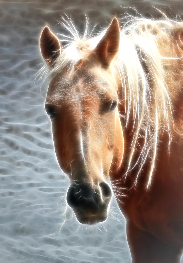 Horse Photograph - Blonde Strands by Athena Mckinzie