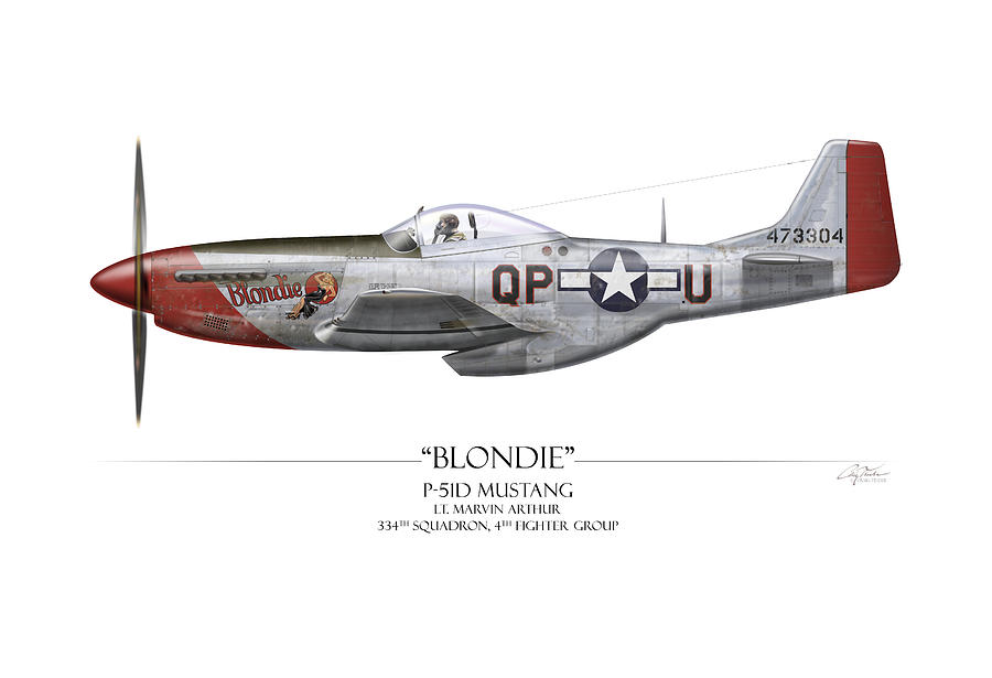 Blondie P-51D Mustang - White Background Painting by Craig Tinder